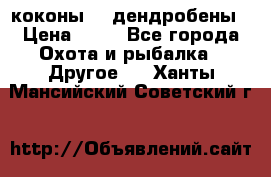 коконы    дендробены › Цена ­ 25 - Все города Охота и рыбалка » Другое   . Ханты-Мансийский,Советский г.